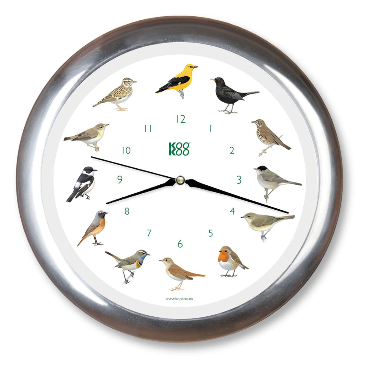 KOOKOO Singvögel, the singing songbird wall clock